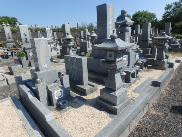 草の生えにくい土を入れました